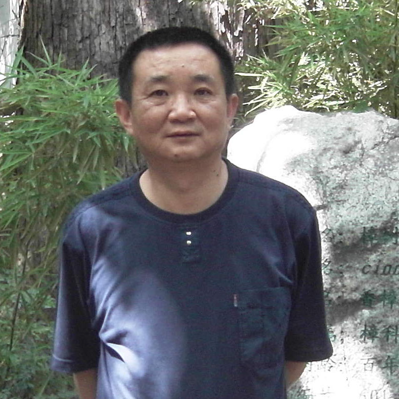 阮治民