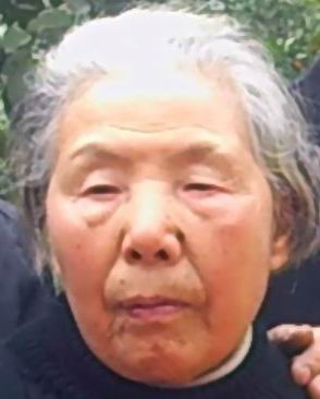 柳少华