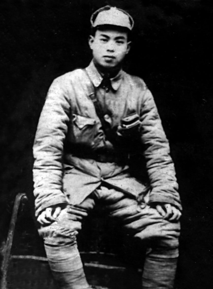 杨昭