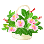 杜鹃花竹篮花盆