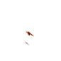 蝴蝶