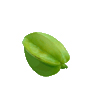 杨桃