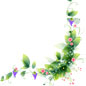 花边