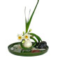 水仙花