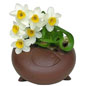 水仙花