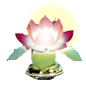 莲花灯