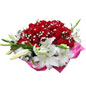 鲜花20
