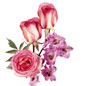 鲜花
