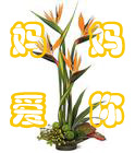 念儿