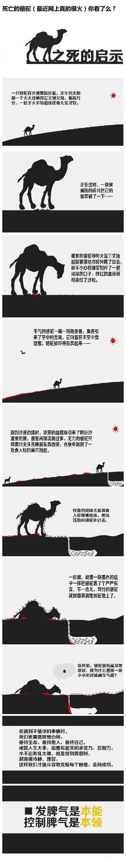 8986e4c8jw1exkhm0f9czj20c82b1aee.jpg