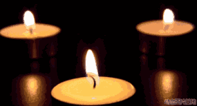 d1d819b0d7fada4cec681a1d52c1c78f9494.gif d1d819b0d7fada4cec681a1d52c1c78f9494.gif