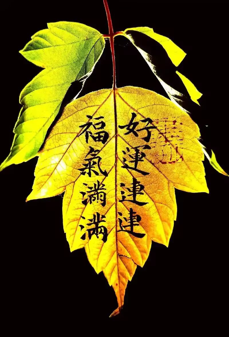 default (3)_看图王.jpg
