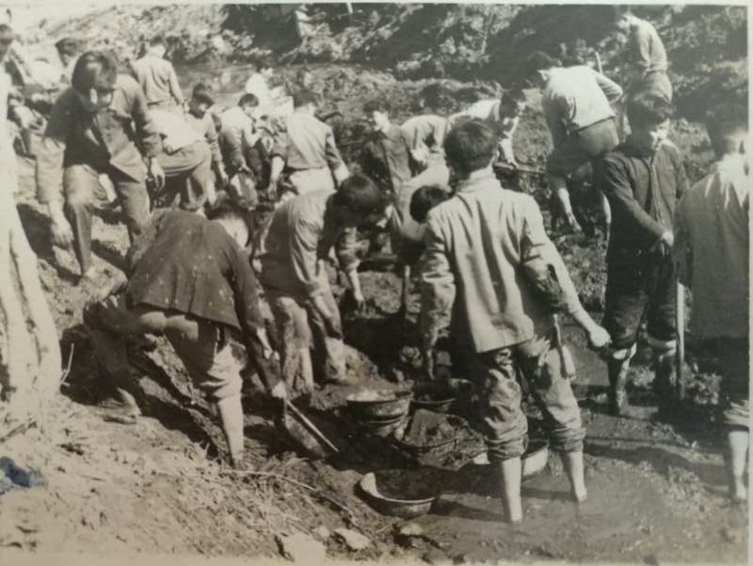 33WechatIMG6.jpg