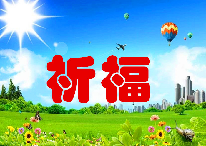 ss2.meipian_副本平.jpg