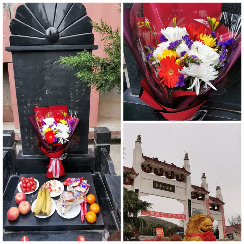 QQ图片20210323162244.jpg