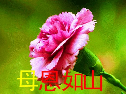 blog_20130325232433147722.gif