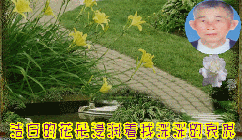 5b727243bb5e4171b3afe7979b966796.gif