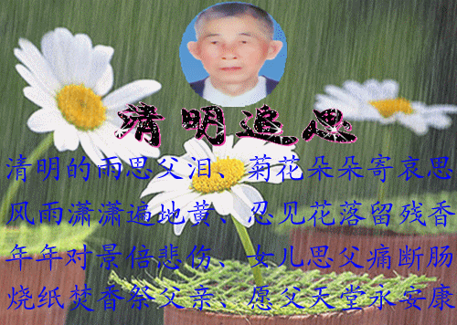 3d319717a40a472d844514c8e57d197a.gif