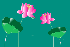 8.gif