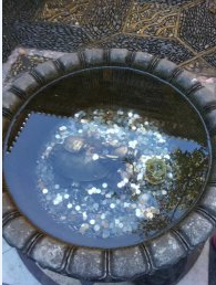 blob.png