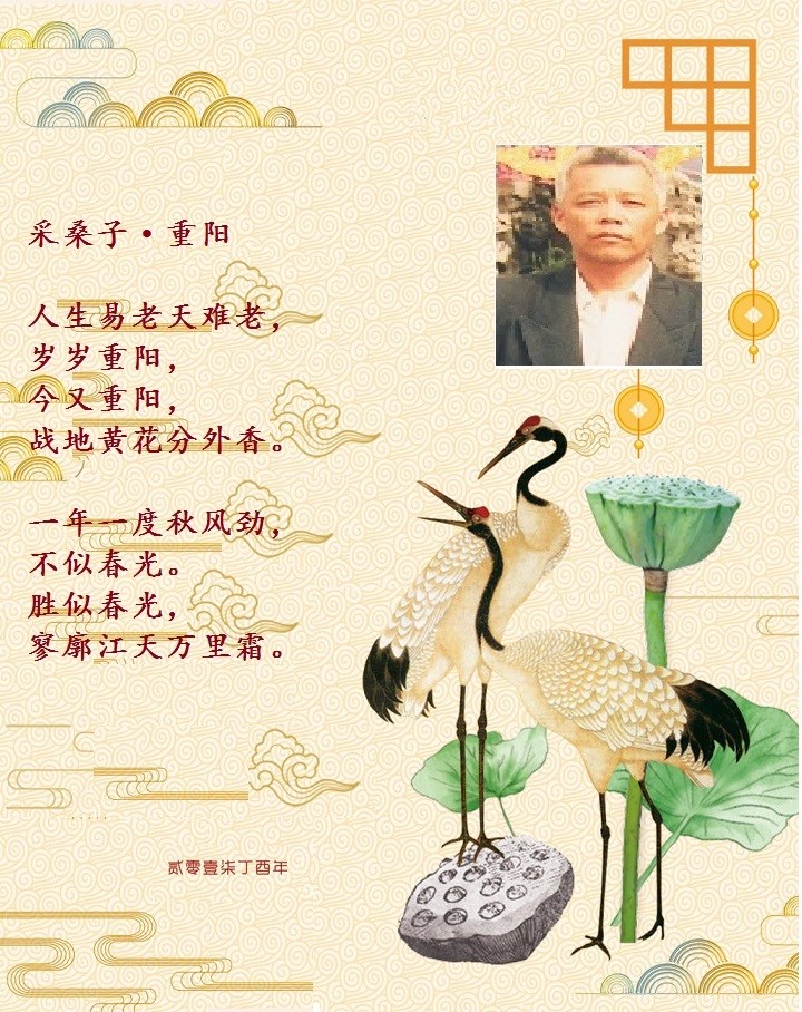 重阳2.jpg