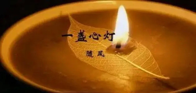66c63297211b4b7699a631b3bc8c2e42_看图王.jpg