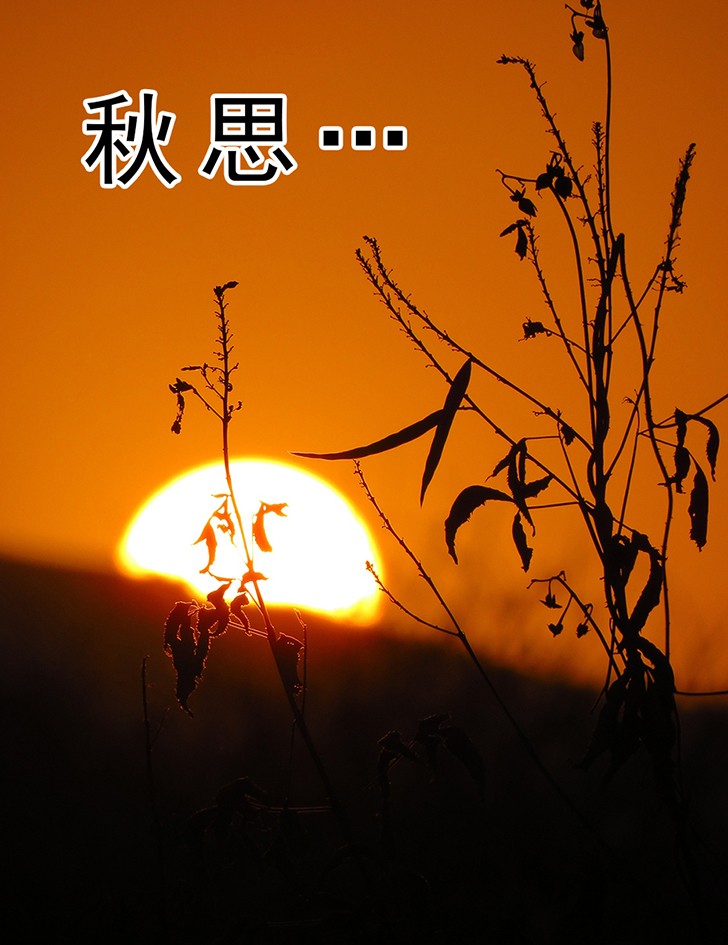 3127a5396a3a4c04b251e86c06278447.jpeg